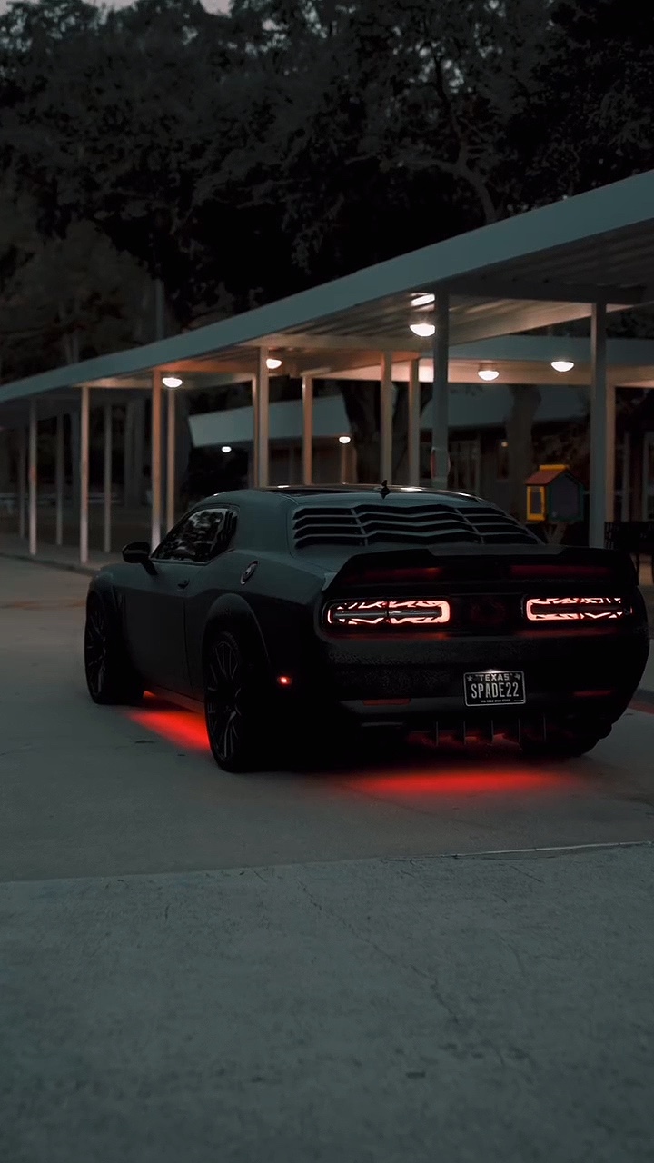 ARABA - 👁️ ŞAPLAMA 