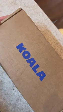 Recebidos Koala 🤩