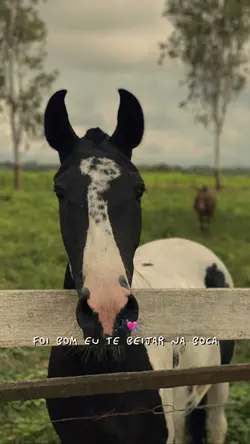 Apaixonado por você 