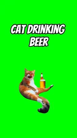 Cat drinking beer