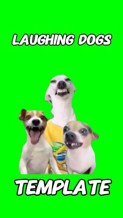 Chiens qui rient