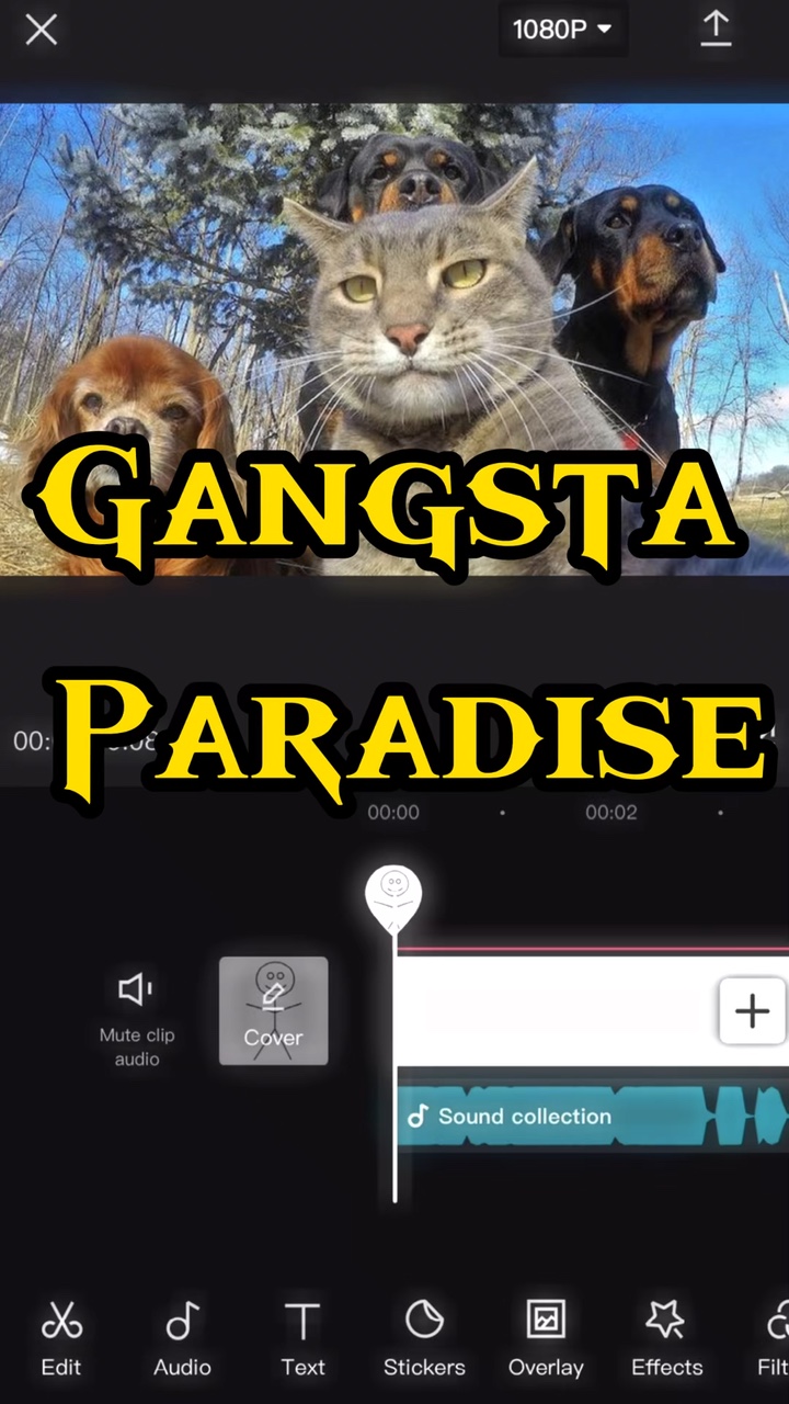 gangsta cenneti
