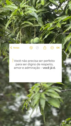 Notas - Frase status