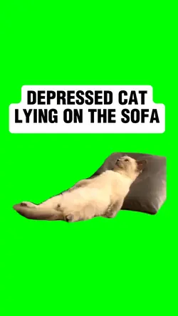 DEPRESSED CAT