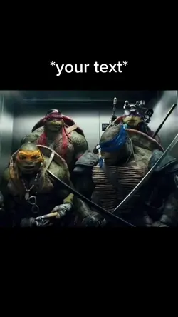 Ninja turtle
