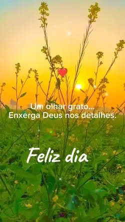Feliz Dia!