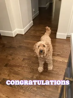 Congratulations 