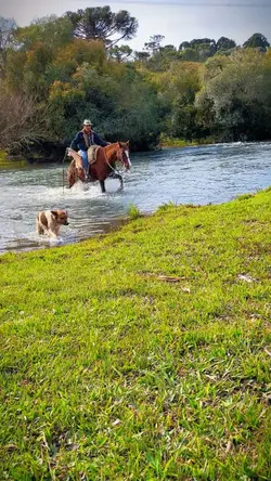 Dia na Fazenda 🍃