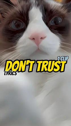 Don't trust!! ๐๐จ๐จ