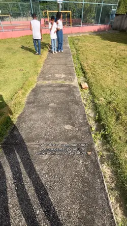 Amigos