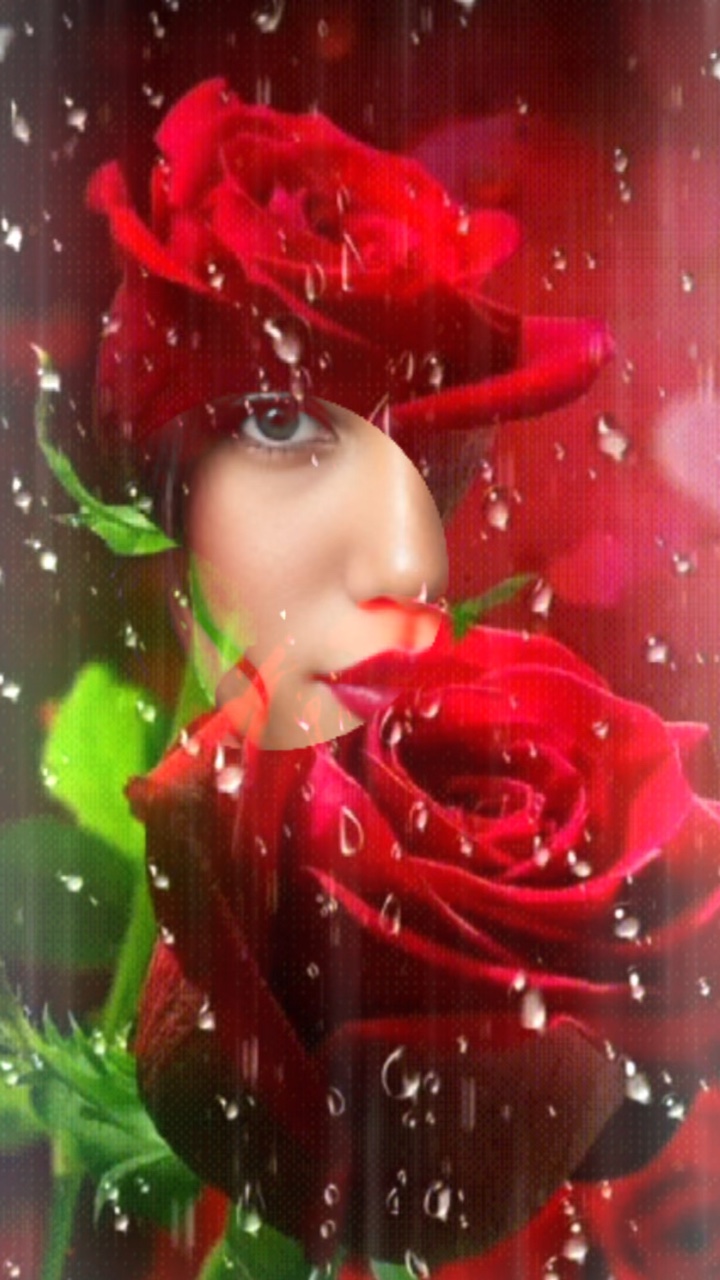 Foto De Rosa Estética