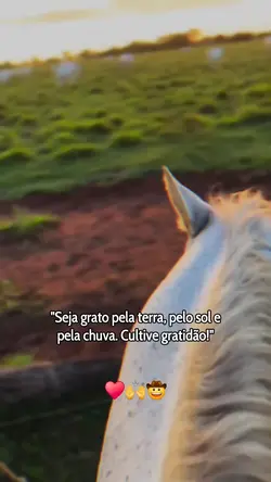 Cultive gratidão 