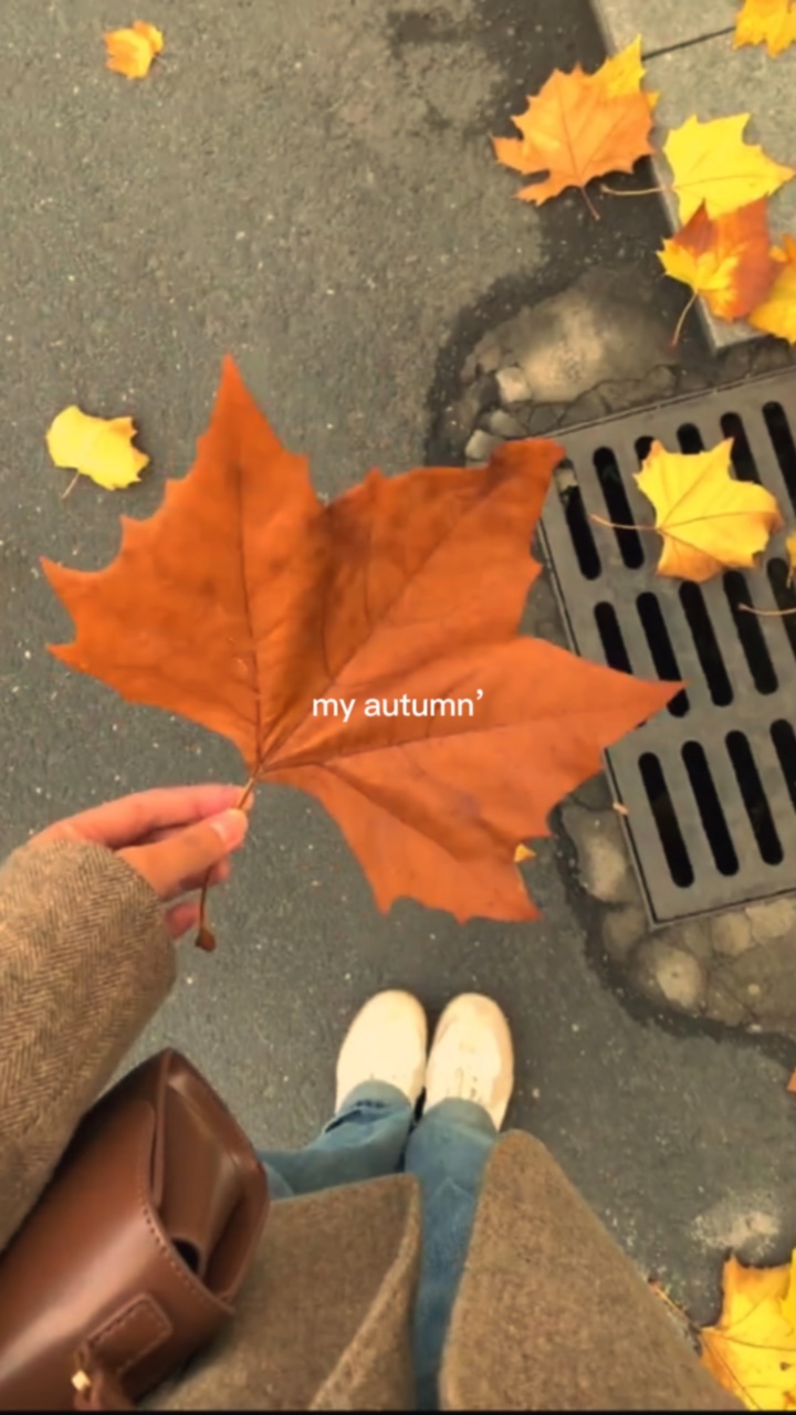 Mi otoño🍁
