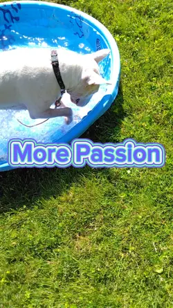 More Passion