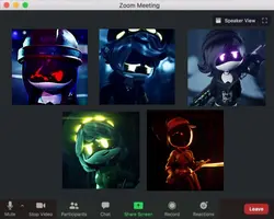 Zoom call