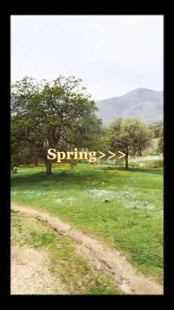 Spring vibes