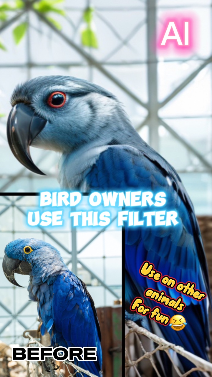 AI-Vogel-Filter 