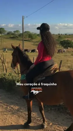 Vaquejada De Luxo 