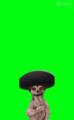 jdjdj