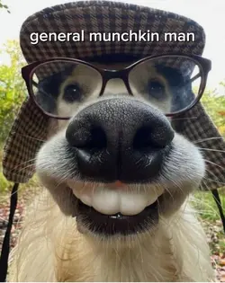 general munchkin man