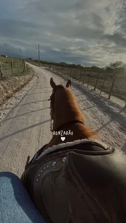 dominguinho gonzagao