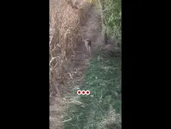 Hunting😍