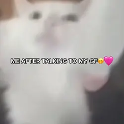 YIPPIEEE