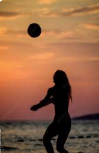 Volleyball 4 life