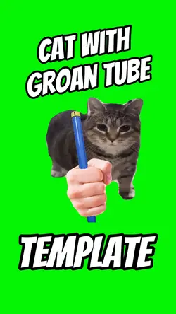 Cat With Groan Tube 