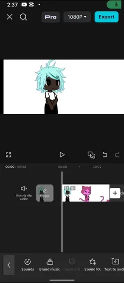 EVERYBODY DO THE FLO