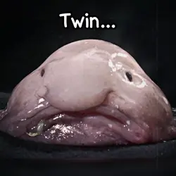 Blowfish Twin