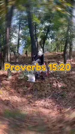 Proverbs template 