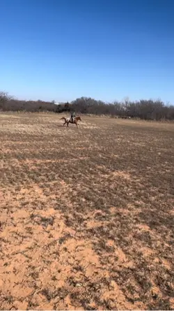 ⚠️FAKE AI GENERATED⚠️