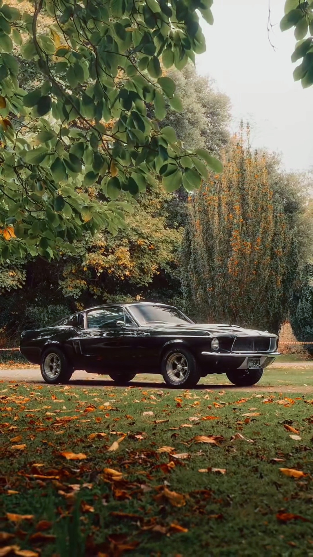 FORD ~ PLANTILLA 