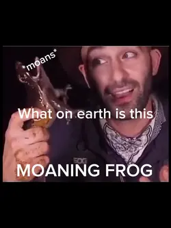 The frog really said