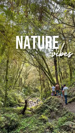 Natureza Vibes ✈️