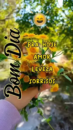 Bom Dia