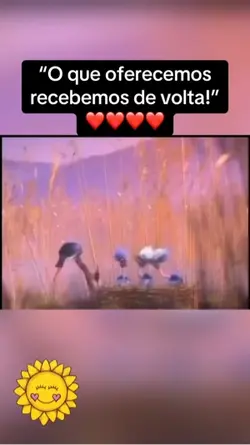 Reflexão