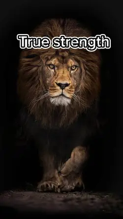 True strength 