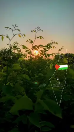  Free Palestine حره