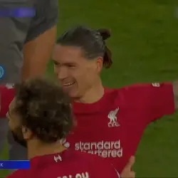 Free Nunez Suarez ed