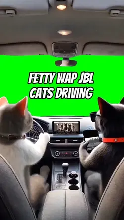 Fetty Wap JBL Cats