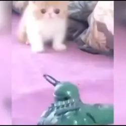 soldier kitt