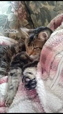 I love you sweet boy