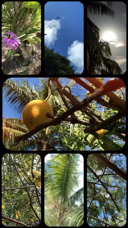 26 Photos and Videos