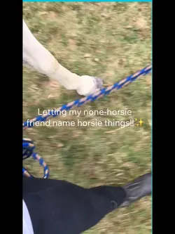 This went well!! 🤣