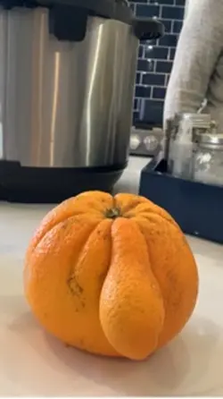 Sus orange