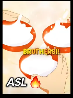 ACE/SABO/LUFFY