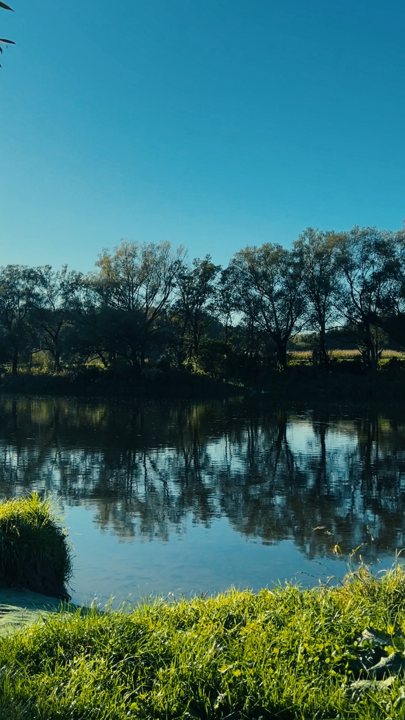 Cinematic Video