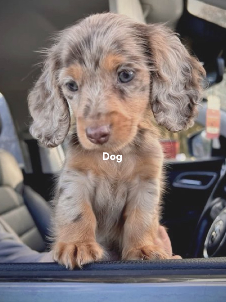 @ pintrest